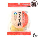 わかまつどう製菓 マンゴー糖 (加工) 60g×6袋 沖縄 人気 定番 土産 黒糖菓子(4)
