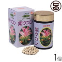 比嘉製茶 紫ウコン粒 700粒×1個 沖縄 人気 定番 土産 健康食品 うこん ウッチン 鬱金 ガジュツ