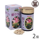 比嘉製茶 紫ウコン粒 700粒×2個 沖縄 人気 定番 土産 健康食品 うこん ウッチン 鬱金 ガジュツ