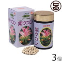 比嘉製茶 紫ウコン粒 700粒×3個 沖縄 人気 定番 土産 健康食品 うこん ウッチン 鬱金 ガジュツ