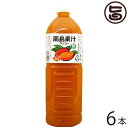 北琉興産 南島果汁 マンゴー 1L 5倍濃縮×6本 沖縄 土産 南国フルーツ ドリンク ジュース 沖縄土産にも最適