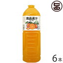 北琉興産 南島果汁 タンカン 1L 5倍濃縮×6本 沖縄 土産 南国フルーツ ジュース ドリンク 沖縄産のタンカン使用(4)
