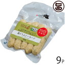 ひろし屋食品 島どうふソーセージ アーサ 100g×9P 沖縄 土産 沖縄県産豆腐 沖縄県産鶏むね肉 沖縄県産アオサ使用 ソーセージ