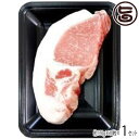 ギフト フレッシュミートがなは 山原豚 琉美豚 白豚 ロース とんかつ用 120g×10枚 沖縄 土産 人気 豚肉 贈答用 贈り物