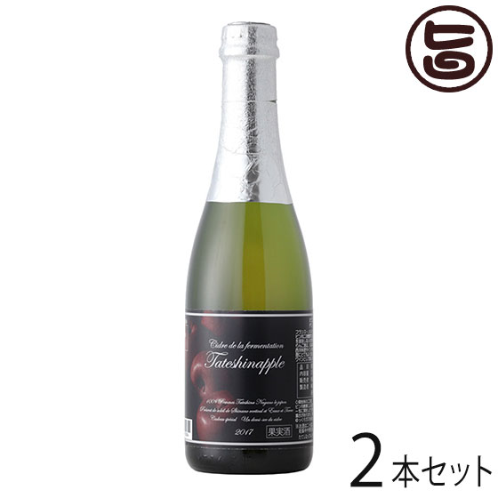 たてしなップルワイナリー スペシャリテ デミーセック 375ml 2本セット 長野 土産 ワイン フルーツワイン 果実酒