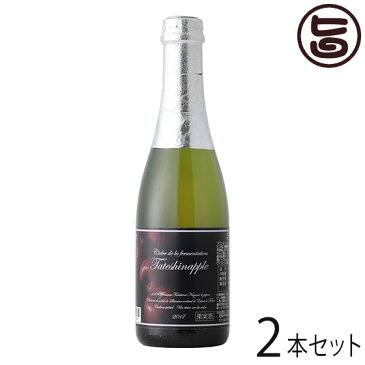 たてしなップルワイナリー スペシャリテ デミーセック 375ml 2本セット 長野 土産 ワイン フルーツワイン 果実酒 条件付き送料無料
