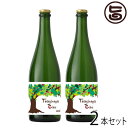 ギフト たてしなップルワイナリー シードル フェルミエ 750ml 2本セット 長野 土産 ワイン フルーツワイン 果実酒