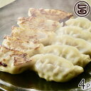 アップラインズ 鹿児島黒豚の肉盛餃子 27g×15個×4P グルメ餃子包王（パオウ） 滋賀県 土産 惣菜 ギョウザ 豚とんぽう