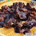 愛媛県産 高級生きくらげ 天使のききみみ 黒 300g 1P 愛媛 土産 純国産・農薬不使用 食材