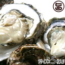 日本海隠岐活魚倶楽部 隠岐のいわがき プロトン凍結 Sサイズ 5枚入り 旬の時期にプロトン凍結 島根県 魚介類 人気 贅沢 タウリン カルシウム ビタミンB12