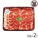 JAおきなわ あぐー 肩ロース しゃぶしゃぶ 500g×2P 沖縄 土産 豚肉 県産ブランド豚あぐー ご自宅用に