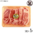 【ギフト】JAおきなわ あぐー ロース とんかつ用 100g×5枚 沖縄 土産 豚肉 県産ブランド豚あぐー 贈り物 贈答用