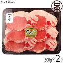 【ギフト】JAおきなわ あぐー ロース 焼肉 500g×2P 沖縄 土産 豚肉 県産ブランド豚あぐー 贈り物 贈答用