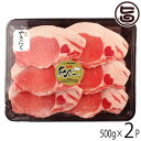 JAおきなわ あぐー ロース 焼肉 500g×2P 沖縄 土産 豚肉 県産ブランド豚あぐー ご自宅用に