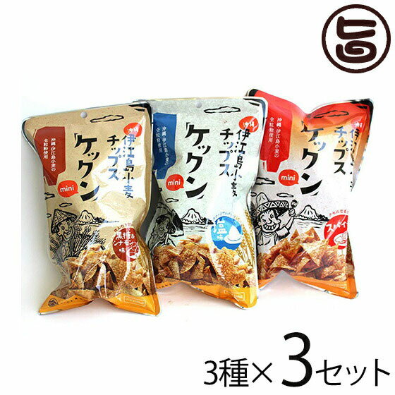 ケックンmini スパイシー 塩 黒糖&シナモン 60g×3種×3セット沖縄伊江島小麦チップス クセ ...