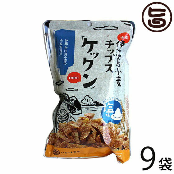 ケックンmini 塩 60g×9袋 沖縄伊江島