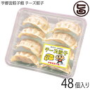 【名称】餃子 【内容量】8個入り×6パック 計48個入り 【賞味期限】 冷凍で180日 ※調理後は、早めにお召し上がりください。 【原材料】【餃子】野菜〔きゃべつ(国産)、にら(国産)、にんにく、生姜、長ねぎ〕、皮(小麦粉、植物油脂、食塩)、プロセスチーズ、豚肉(国産)、鶏卵、植物油脂、酒精飲料、醤油、乾椎茸、味噌、砂糖、食塩、黒胡椒／調味料(アミノ酸)、酒精、酸味料、(一部に小麦・卵・乳成分・大豆・豚肉・ごまを含む)【たれ】醤油(国内製造)、果糖ぶどう糖液糖、食塩、醸造酢／酸味料、調味料(アミノ酸等)、カラメル色素、(一部に小麦・大豆を含む) 【保存方法】冷凍で保存して下さい。 【JANコード】4536725002365 【販売者】株式会社オリーブガーデン（沖縄県国頭郡恩納村） メーカー名 宇都宮餃子館 原産国名 日本 産地直送 栃木県 商品説明 餃子の町『宇都宮』から当店自慢の餃子をお届けいたします。とけたチーズが餃子の味わいをまろやかに。チーズがとろ〜っ肉汁がじゅわ〜っチーズ特有のコクが、噛むたびにお口の中に広がります。ちょっぴり洋風な餃子で赤ワインにもあわせていただけます。焼でも揚げでもお楽しみいただけます。チーズのうまみがたっぷり。そのままで旨い！最初の一口は、何もつけずにお召し上がりください。宅急便：冷凍着日指定：〇可能 ギフト：×不可 ※生産者より産地直送のため、他商品と同梱できません。※納品書・領収書は同梱できません。　領収書発行は注文履歴ページから行えます。 こちらの商品は一部地域が配送不可となります。 配送不可 離島 ※「配送不可」地域へのご注文はキャンセルとなります。