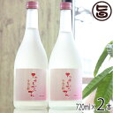 たてしなップル りんご酎 720ml×2本セット 長野 土産 ブランデー 醸造 熟成 カルヴァドス アップルブランデー