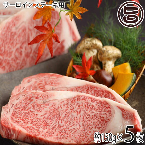 亀山精肉店 前沢牛 A5等級 サーロイ