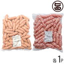 琉球ミート ゴーヤーウインナー & あぐー荒挽ウインナー 1kg×各1P 沖縄 人気 土産 お取り寄せ 惣菜 おかず