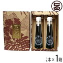 ギフト 石垣島 ゆきさんの黒糖ジンジャーシロップ ギフト (120ml×2本:化粧箱入)×1箱 沖縄 土産 調味料 黒糖