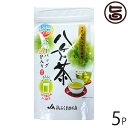 JAふくおか八女 JA八女茶 ティーパック 5g×20P×5袋 国産 緑茶 煎茶 日本茶 一部地域追加送料あり