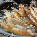 活き〆急速冷凍 久米島の車えび 500g 大(20〜24尾)×1箱 車海老 沖縄