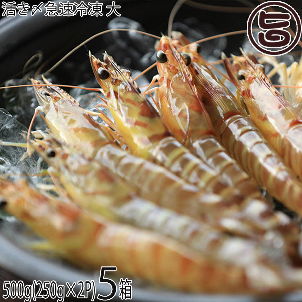 褭® μ֤ 500g (2024)5Ȣ ֳϷ 