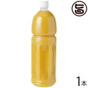 nm ꌧYV[N[T[ʏ`100% 1500ml~1{  yY lC V[N[T[ W[X 썑t[c hN mr`