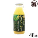 楽天旨いもんハンター沖縄物産企業連合 粗ごしシークワーサー180ml×48本 沖縄 人気 定番 土産 果実飲料 ジュース さっぱりとした爽やかな甘みで暑い季節にもぴったり 果肉・皮丸ごと粗ごし 果実繊維入り