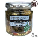 京都ハバネロの里 京野菜ピクルス ハラペーニョ 120g×6瓶 京都 人気 土産 お取り寄せ 漬物