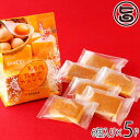 烏骨鶏本舗 烏骨鶏たまごカステラ チーズ味 6個×5P 岐阜県 土産 人気 濃厚なチース゛と烏骨鶏卵を使用 烏骨鶏卵10%使用