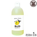 re・make ボタニカル除菌クリーナーBe19 詰替え用 500ml×1本 除菌・消臭・洗浄に 合成界面活性剤、塩素系溶剤不使用