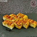 越前三國湊屋 穴子寿司 約260g×1本