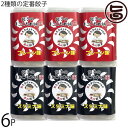 餃子の真心本舗 2種類の定番餃子6パック×1セット