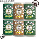 餃子の真心本舗 にんにく0%餃子6パック×1セット