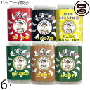 餃子の真心本舗 バラエティ餃子6パック×1セット