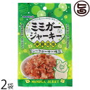 オキハム ミミガージャーキー シークヮーサー味 23g×2袋(4)