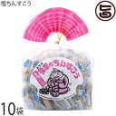 南国製菓 塩ちんすこう 2個入×18袋×10袋