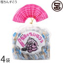 南国製菓 塩ちんすこう 2個入×18袋×4袋