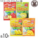 ウチナーグミ グミんちゅ パイン味 マンゴー味 アセロラ味 シークヮサー味 各40g×各10セット