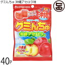 オキコ ウチナーグミ グミんちゅ 沖縄アセロラ味 40g×40P