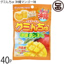 オキコ ウチナーグミ グミんちゅ 沖縄マンゴー味 40g×40P