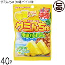 オキコ ウチナーグミ グミんちゅ 沖縄パイン味 40g×40P