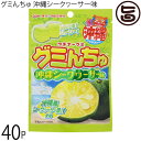 オキコ ウチナーグミ グミんちゅ 沖縄シークヮーサー味 40g×40P