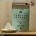 原田茶園 煎茶ティーバッグ 華喜 hanayagi 4g×8個×2P