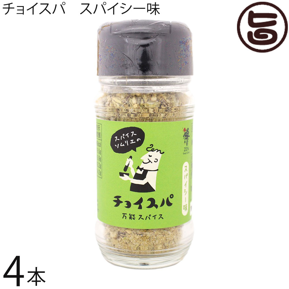 スープカレー専門店 禅 チョイスパ スパイーシー味 40g×4本