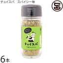 スープカレー専門店 禅 チョイスパ スパイーシー味 40g×6本