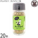 スープカレー専門店 禅 チョイスパ スパイーシー味 40g×20本