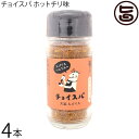 スープカレー専門店 禅 チョイスパ ホットチリ味 40g×4本